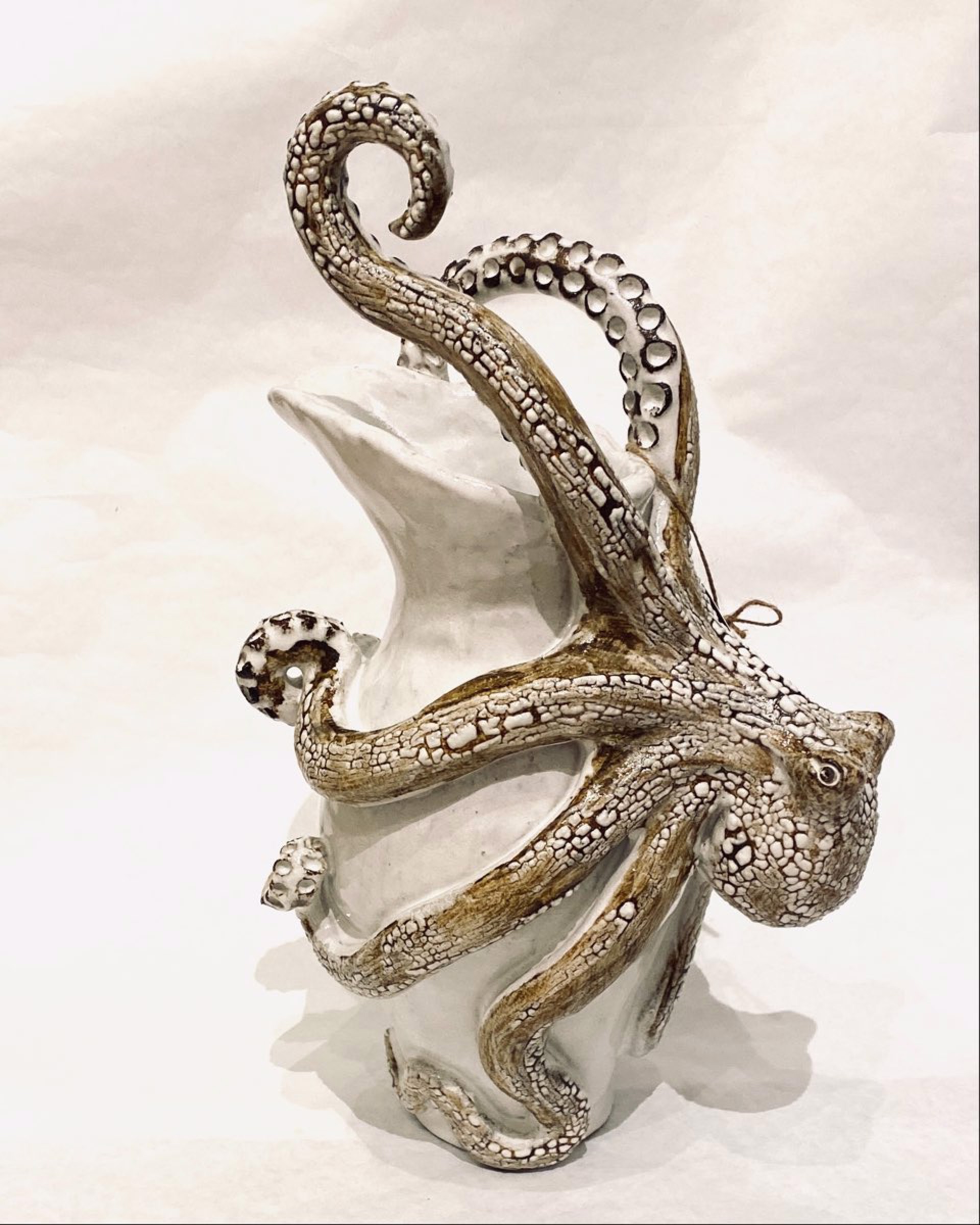 Sg Octopus Pitcher By Shayne Greco Dare Sandpiper Gallery