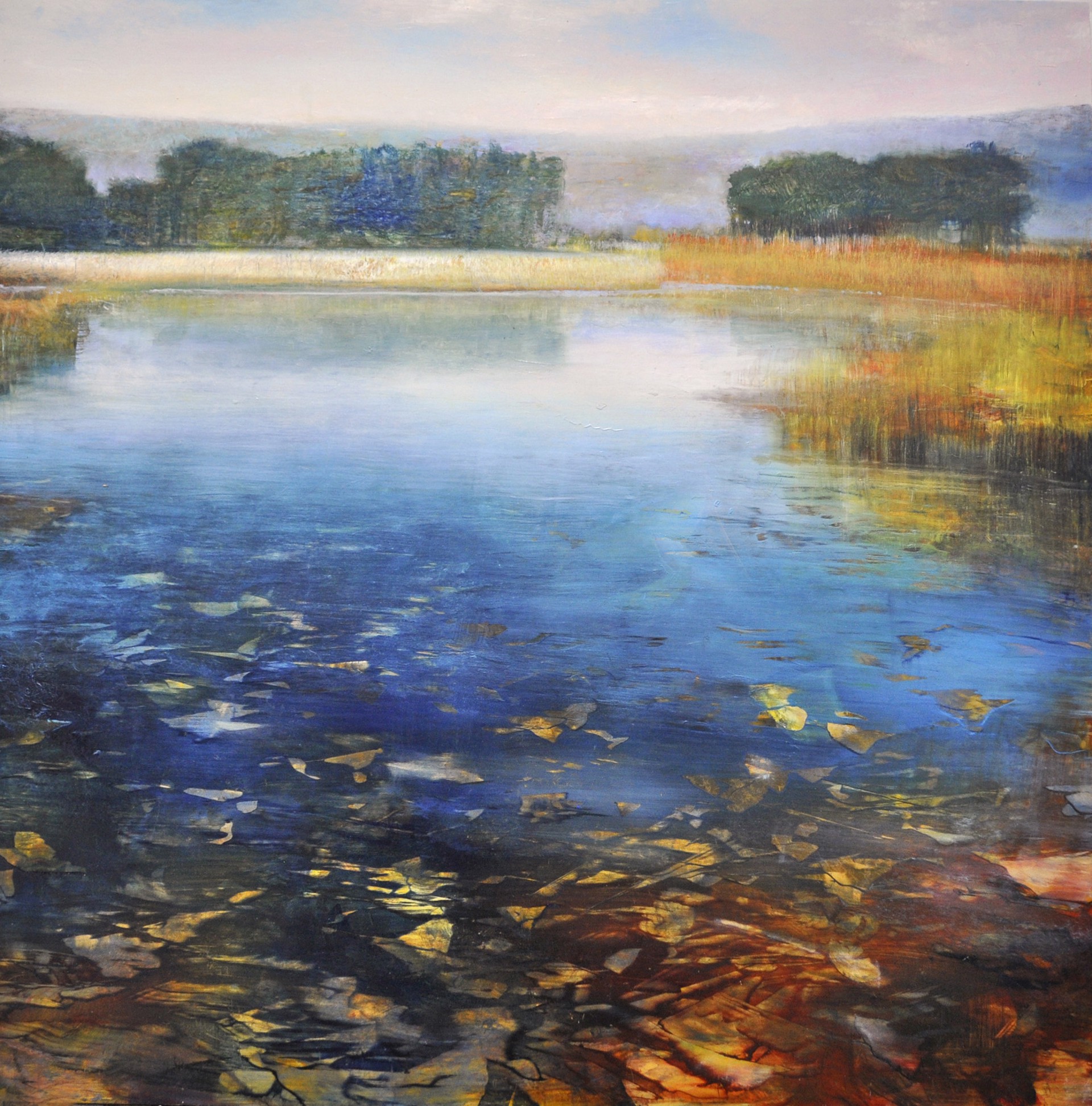 Marsh Among Misty Mountains By David Dunlop Susan Powell Fine Art