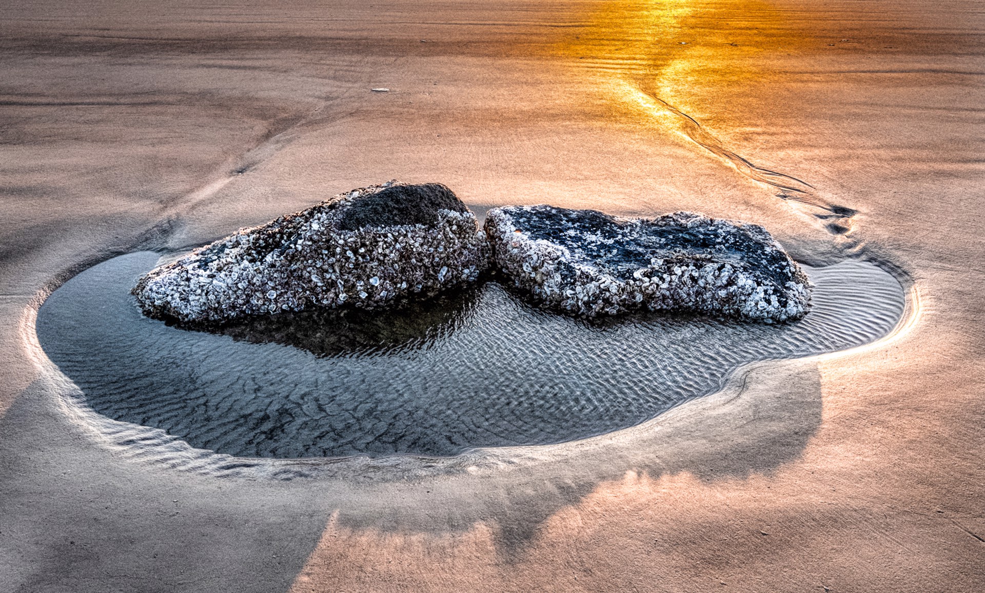 Coquina Seashell Limestone Boulders At Sunrise Driftwood Beach Jekyll