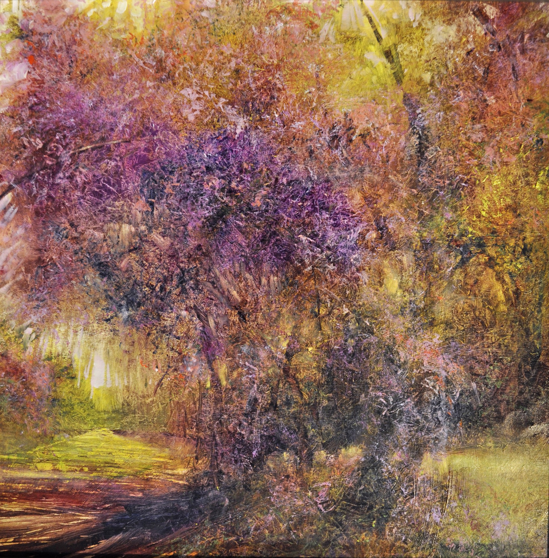 Path Into Spring By David Dunlop Susan Powell Fine Art