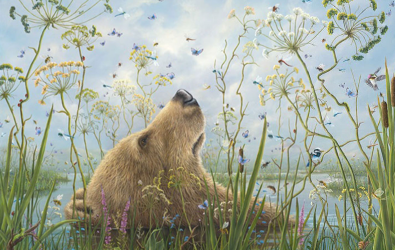 Limited-Edition Prints by Robert Bissell