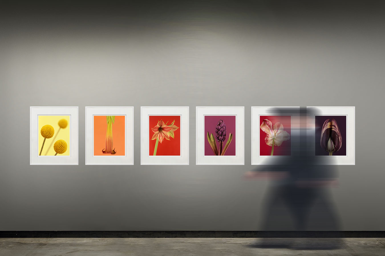 Ron van Dongen | Chroma Gallery