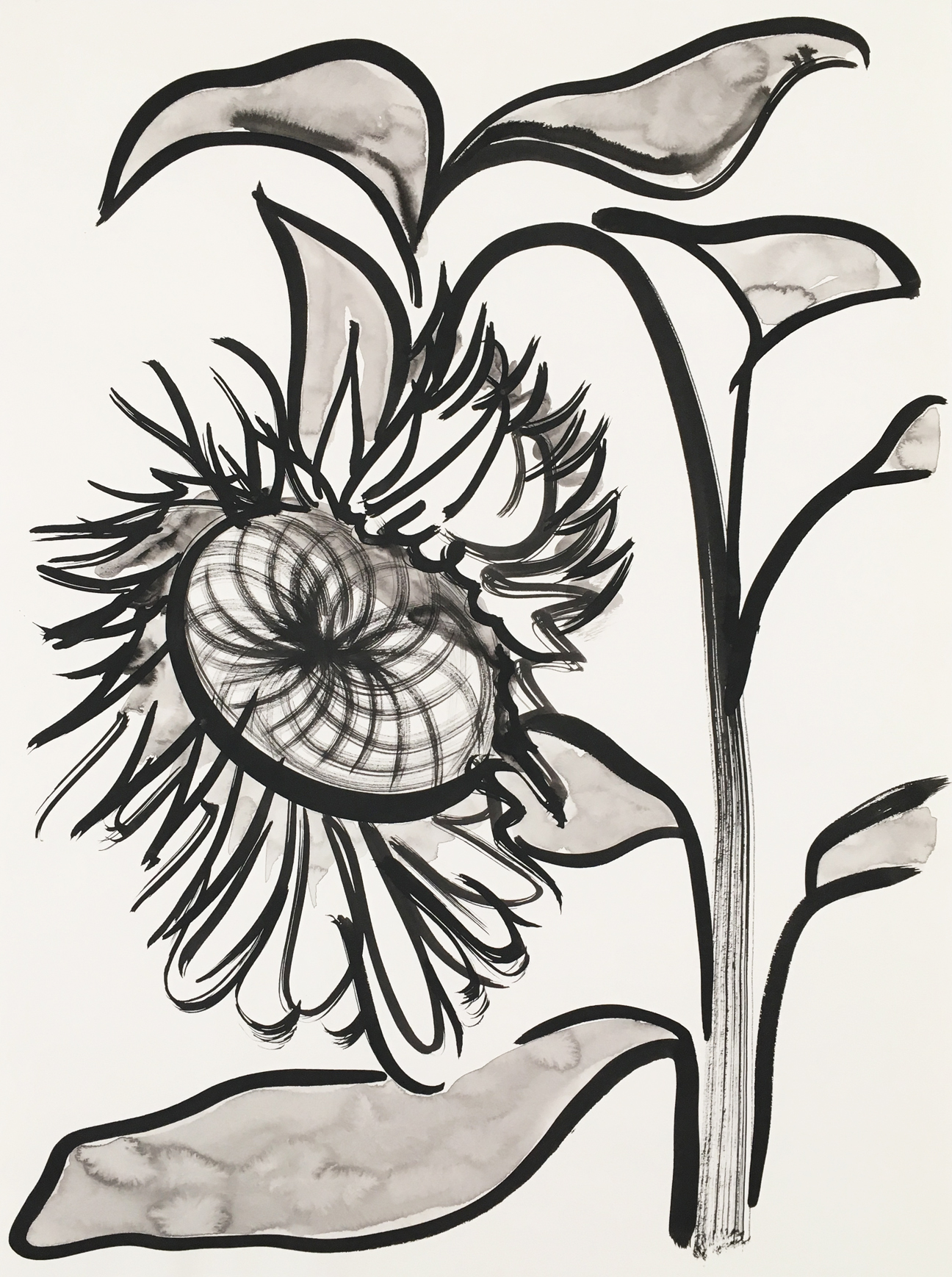 Drooping Sunflower by Eric Hibit ArtCloud