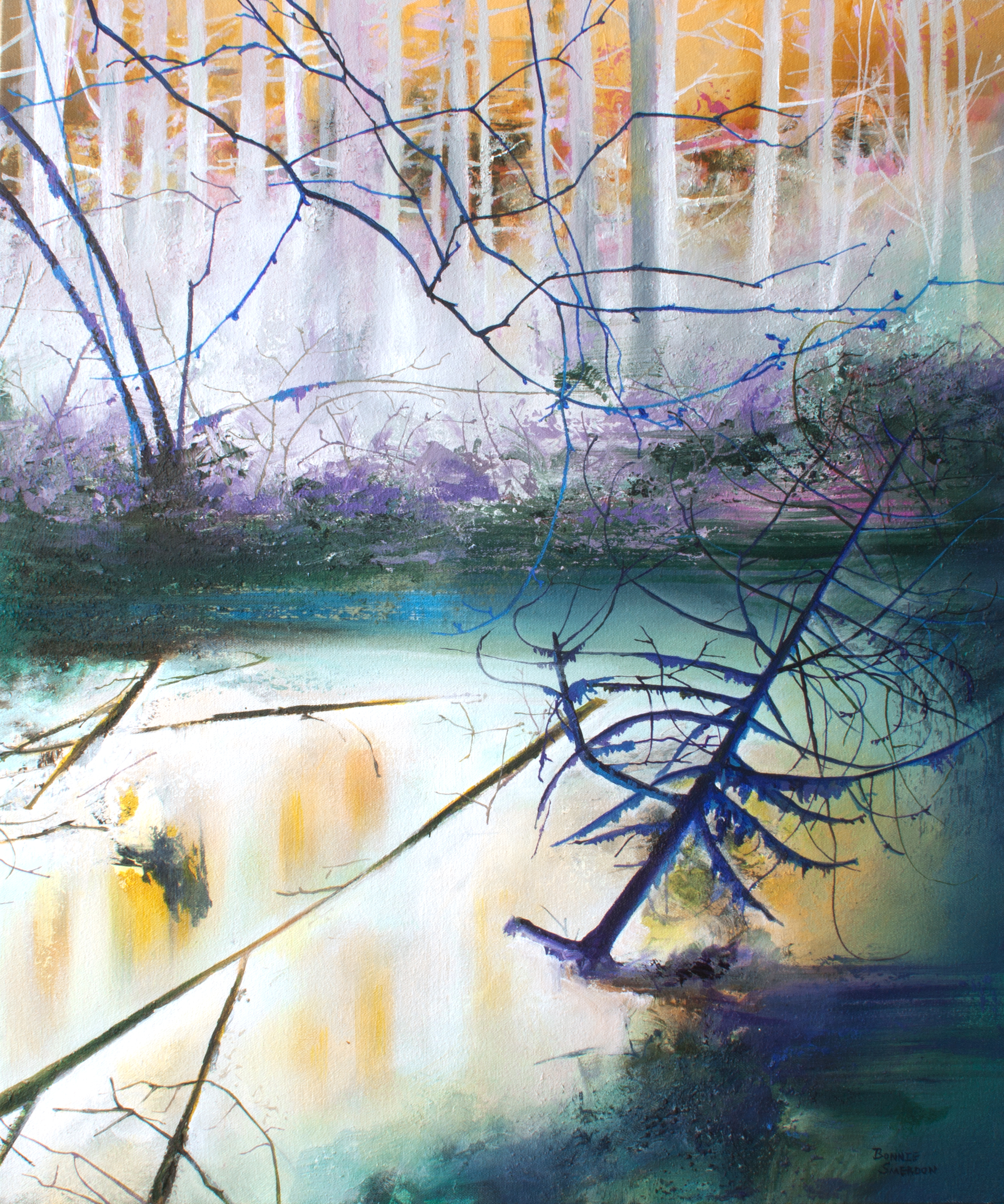 NIGHT WALKS BY BONNIE SMERDON