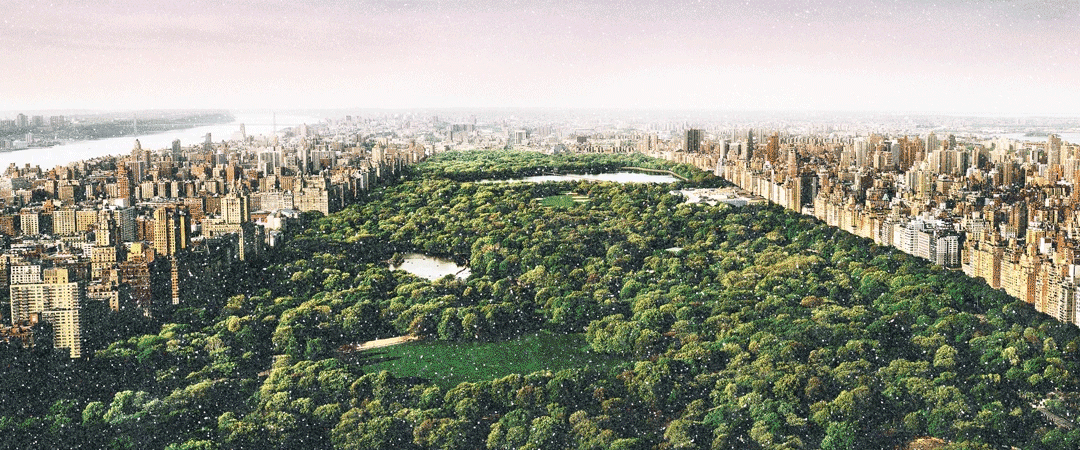 Dreams of Central Park by David Drebin