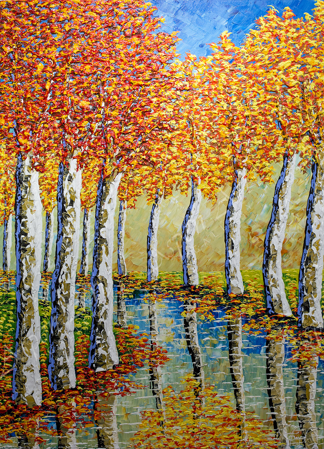 Sycamores Reaching to the Sky 60X42