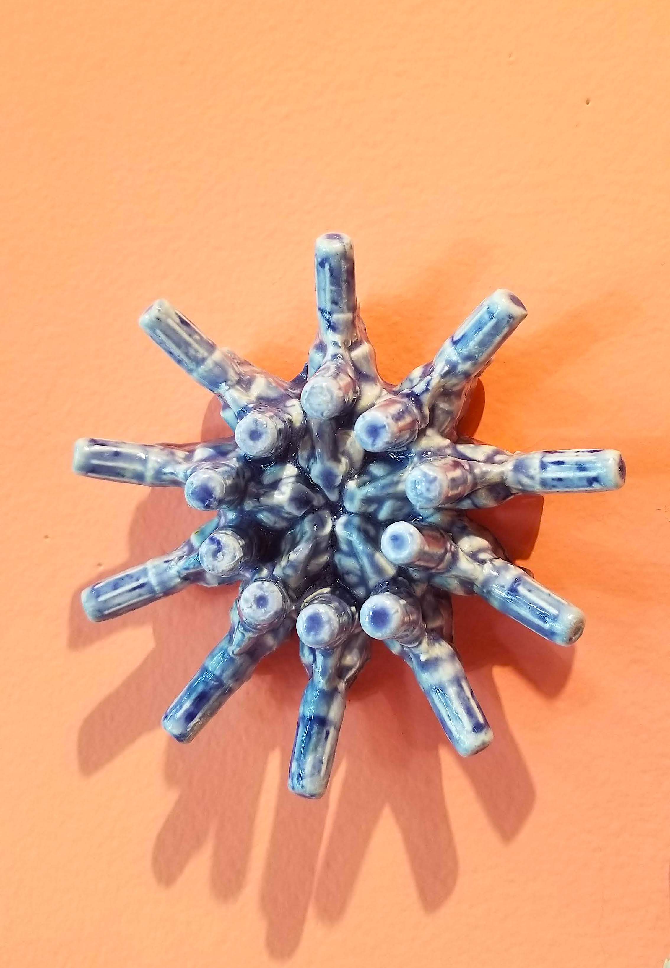 Sweetness in the Salish Sea (Test)