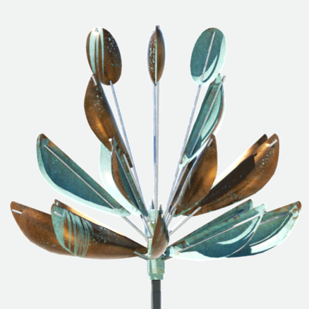 Agave by Lyman Whitaker