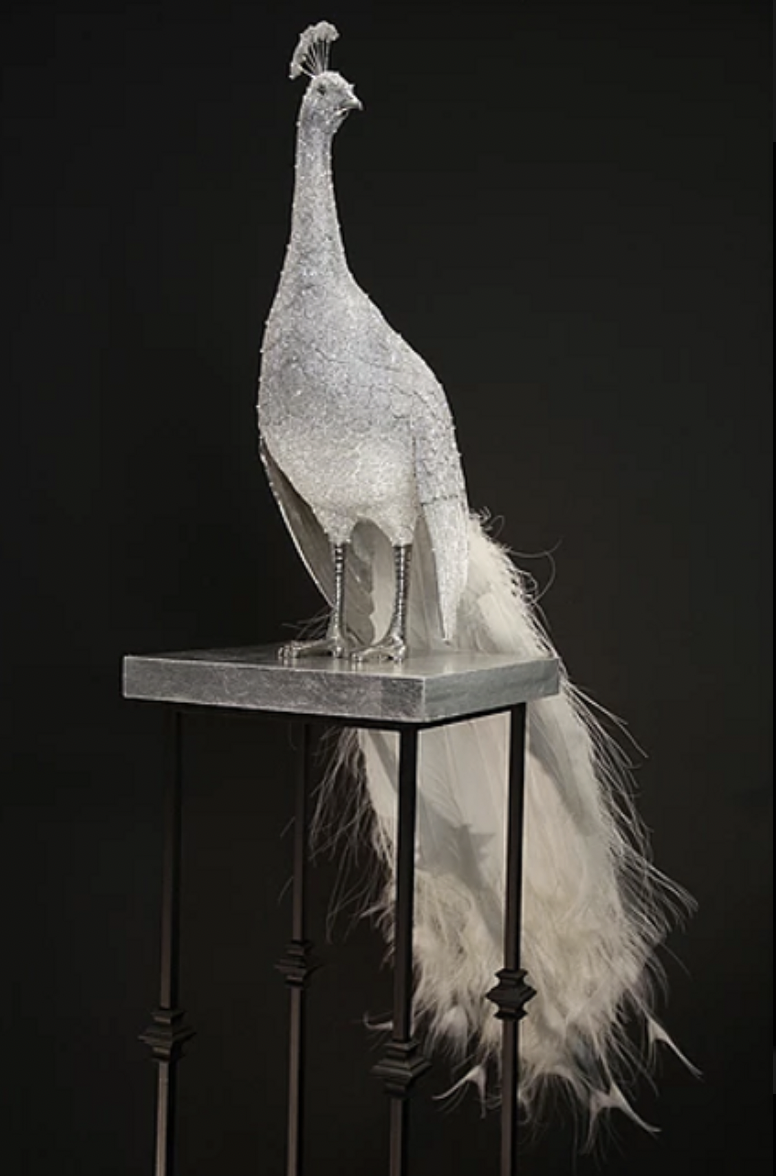 White Peacock by Clarita Brinkerhoff | ArtCloud