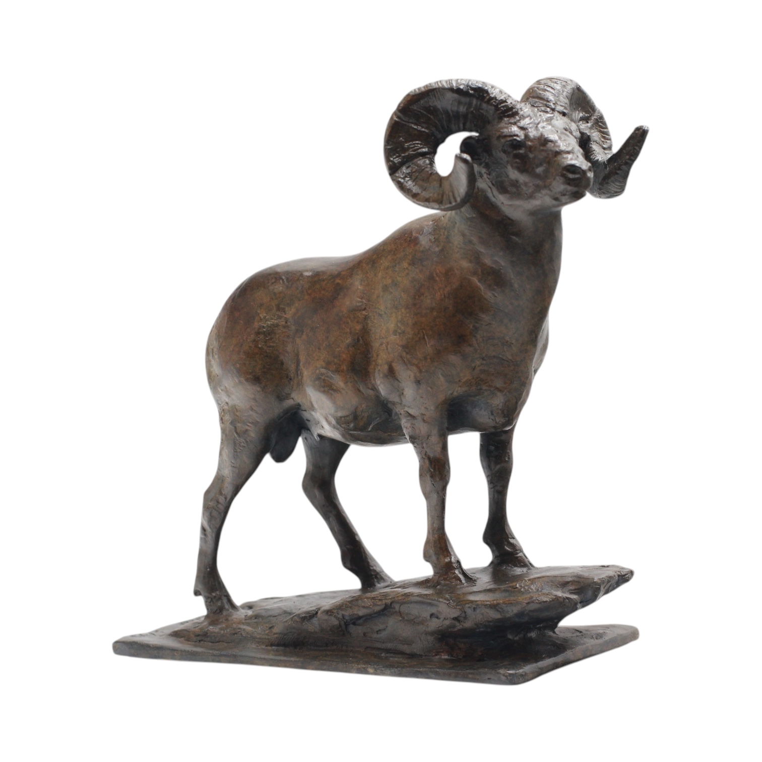Mike Barlow, Bighorn Ram