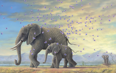 Robert Bissell Prints - The Signature Collection Editions