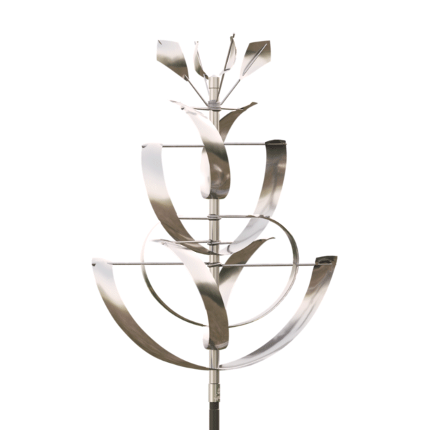 Desert Lily