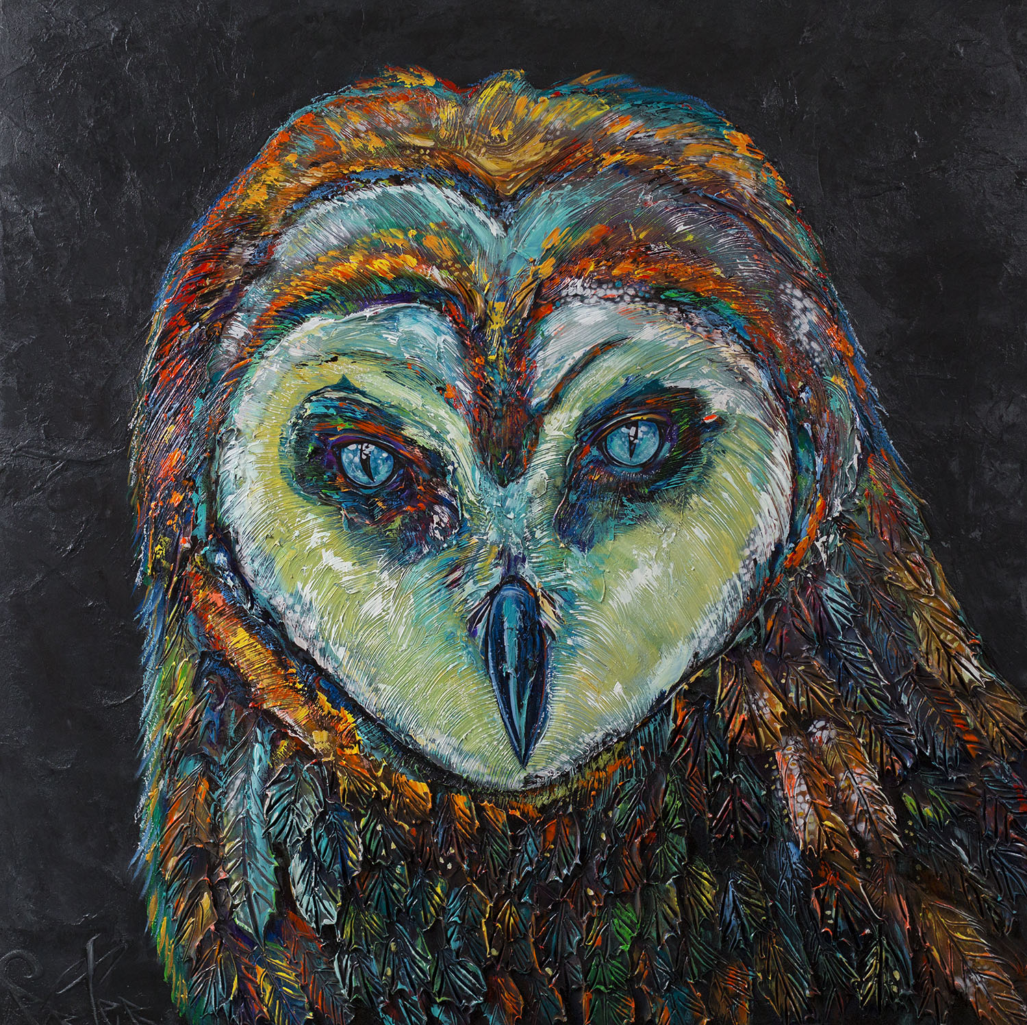 Barn Owl 48x48