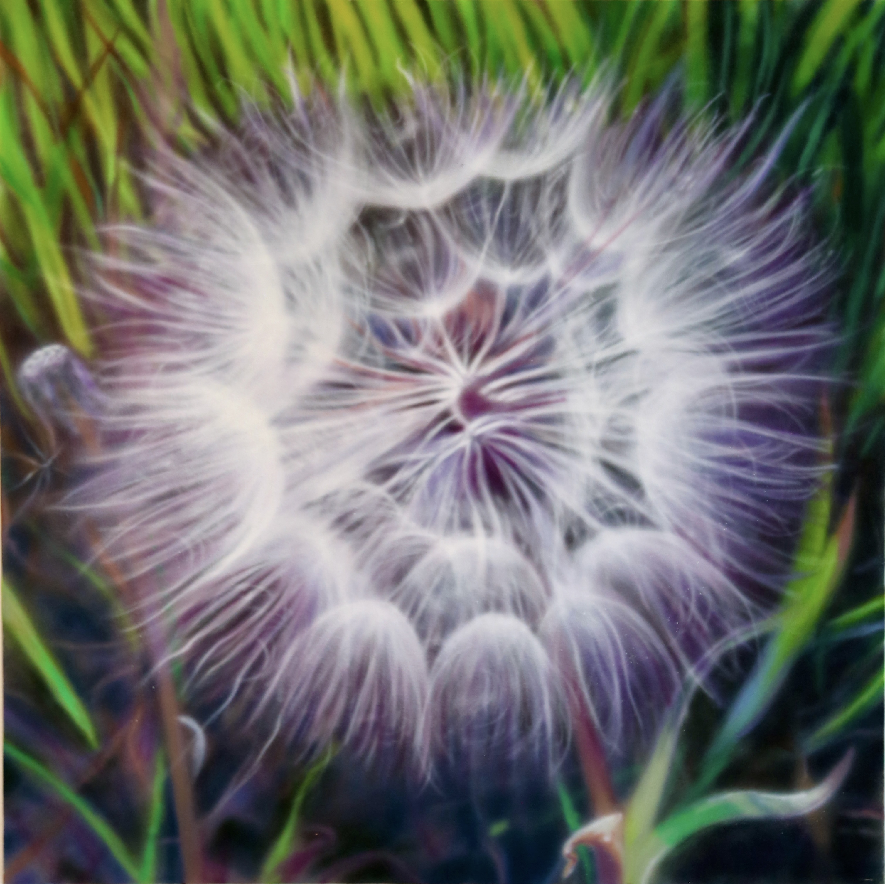 an echo of a whisper