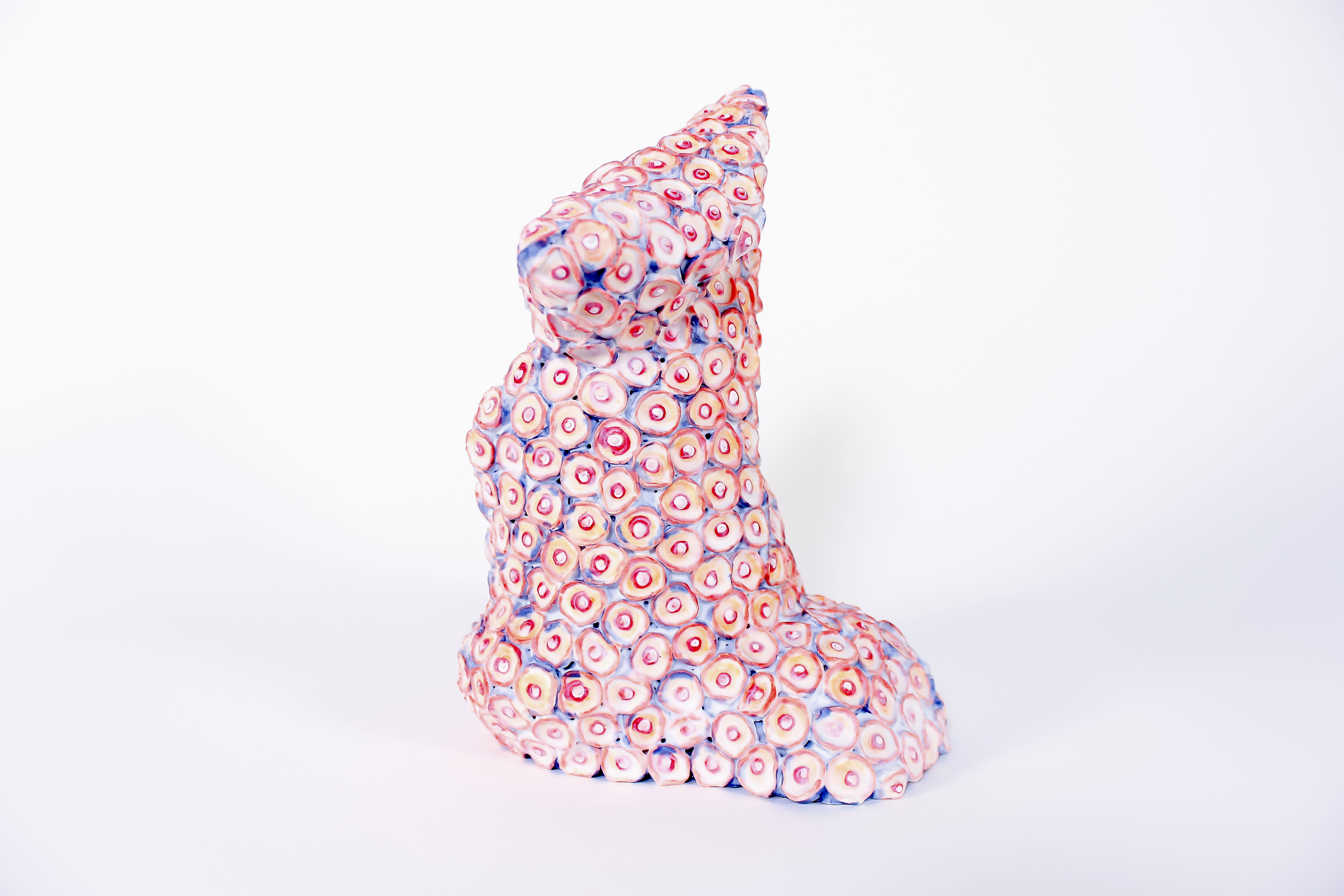 Diatom Test Specimen 1