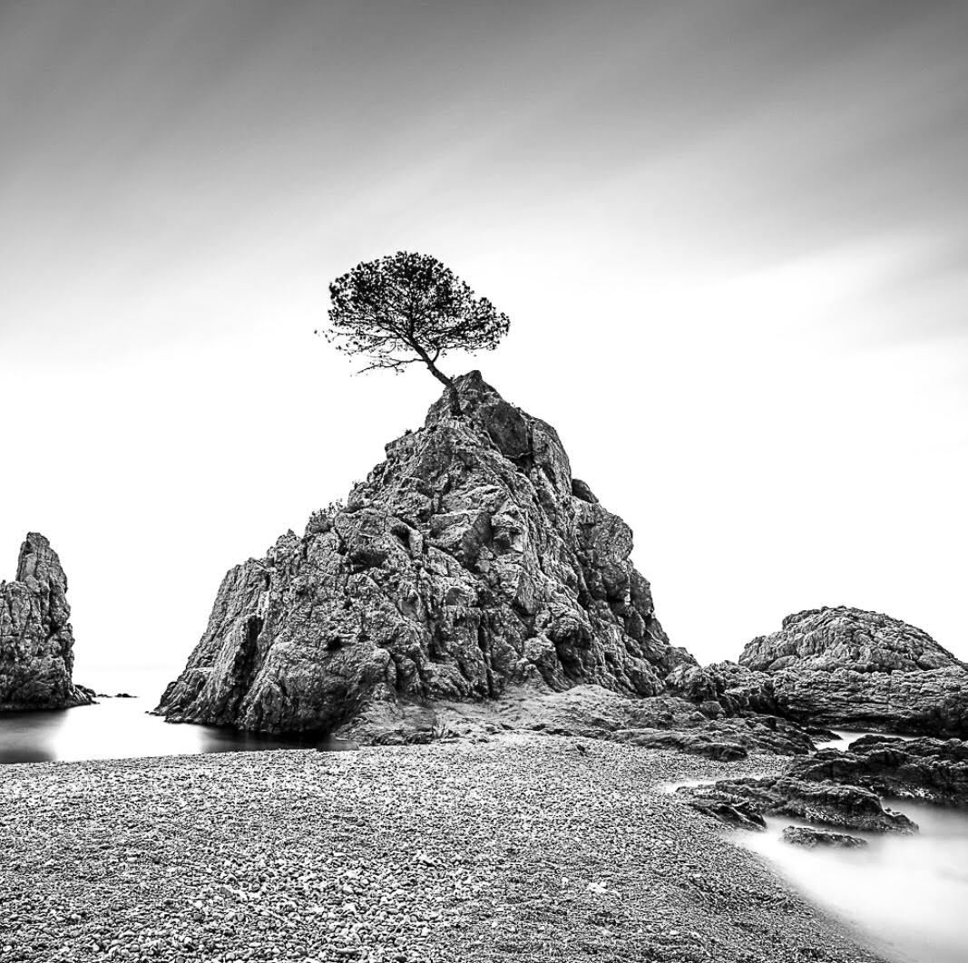 Keith Ramsdell Tree at Tossa de Mar by Keith Ramsdell | ArtCloud