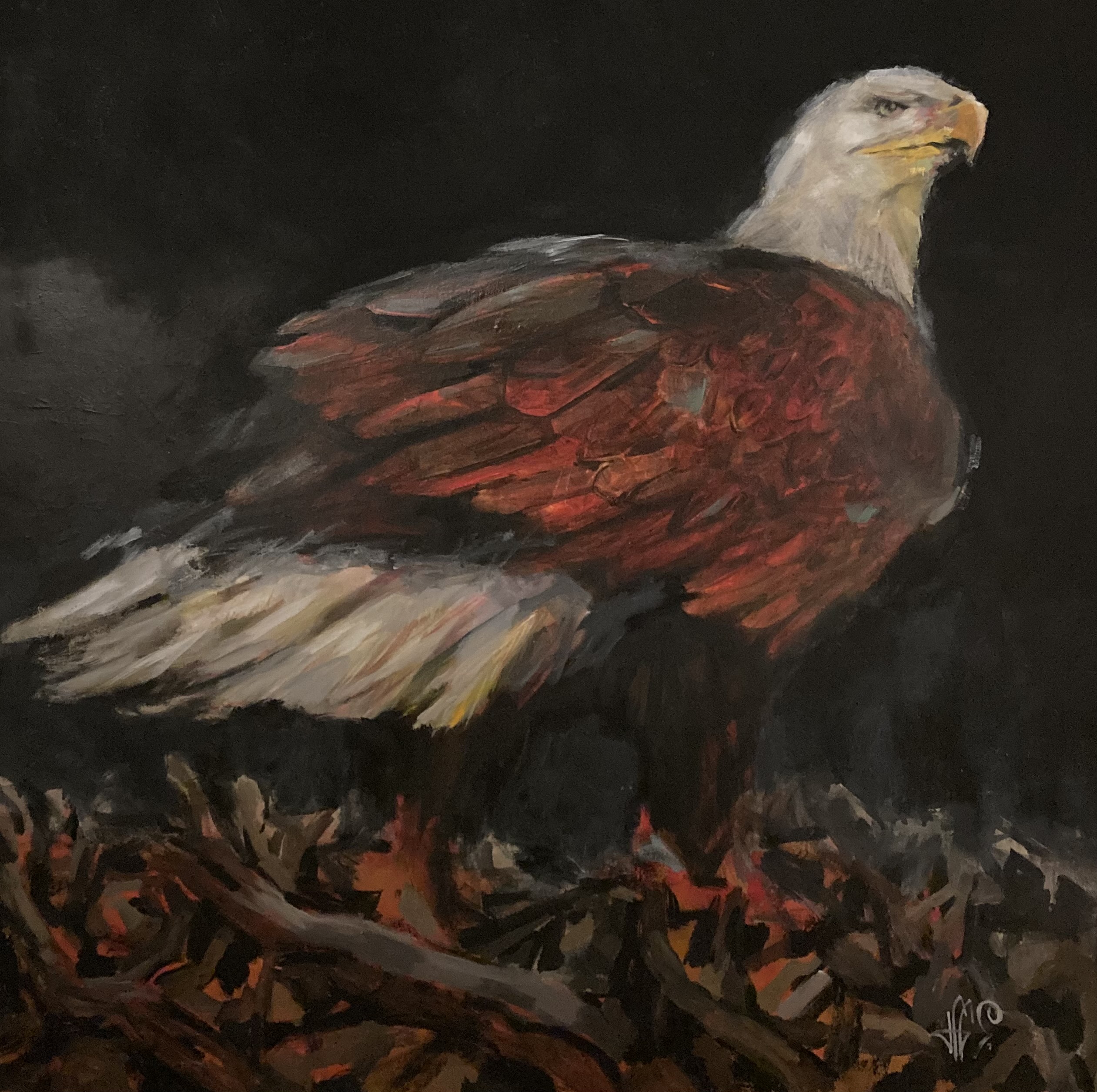 The Bald Eagle By Jeff Surace ArtCloud   Ky1uu76qnyak98hy5t4b 