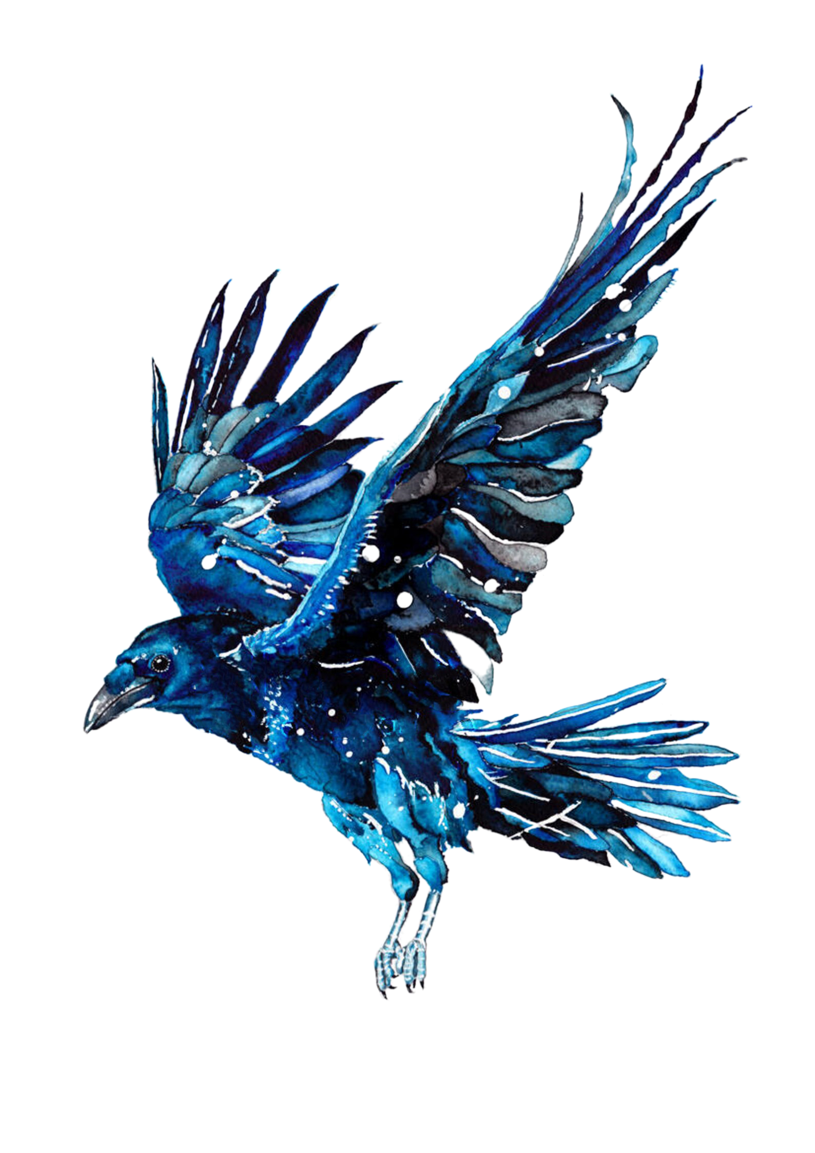 Blue Raven Gallery