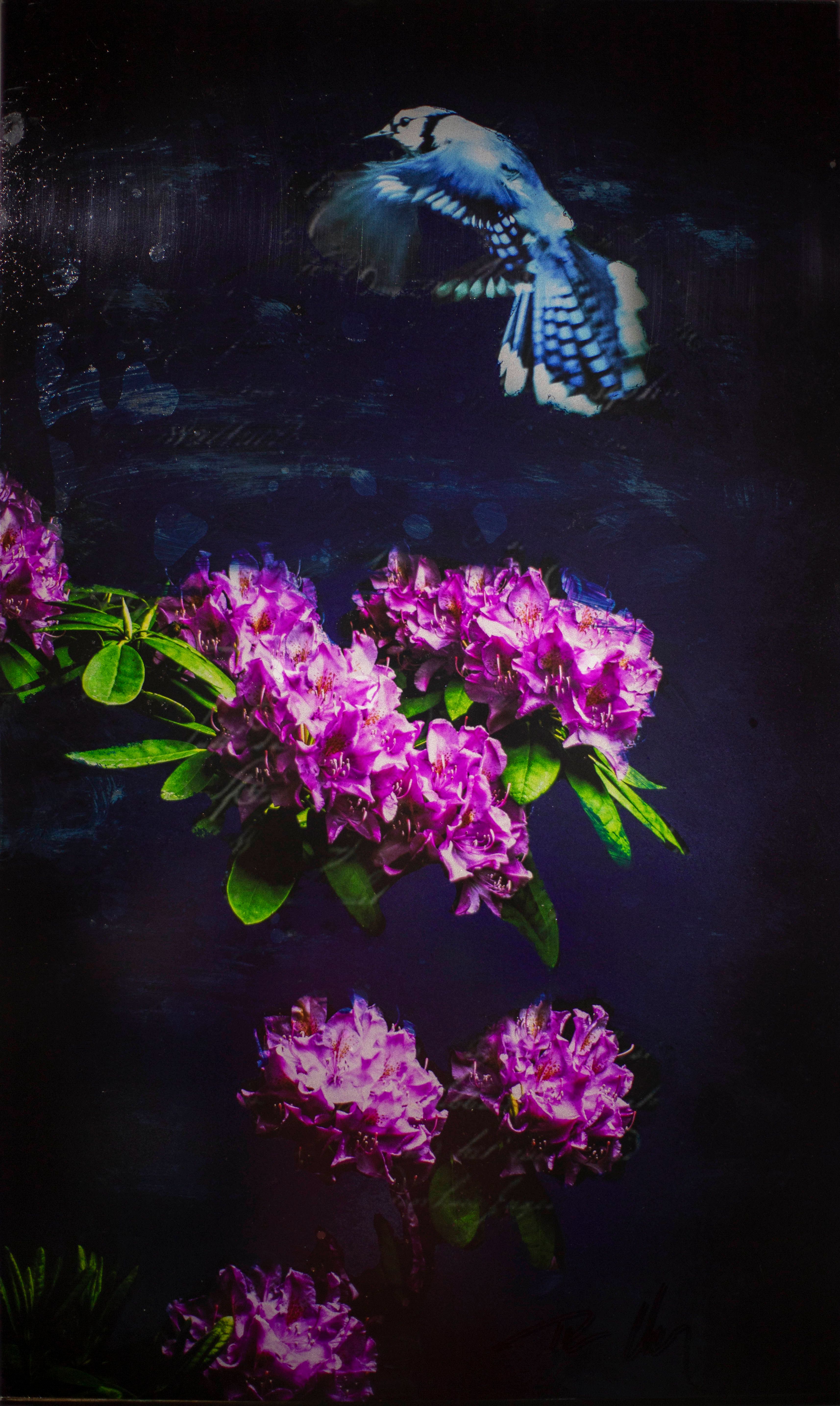 the-night-transforms-26-by-t-l-glover-artcloud