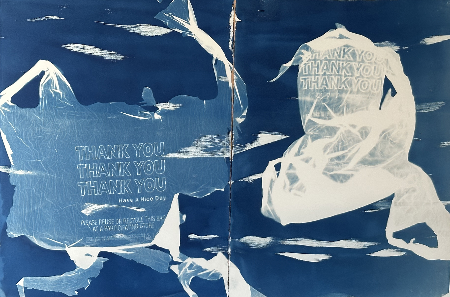 Thank you #5 & #6 (diptych)