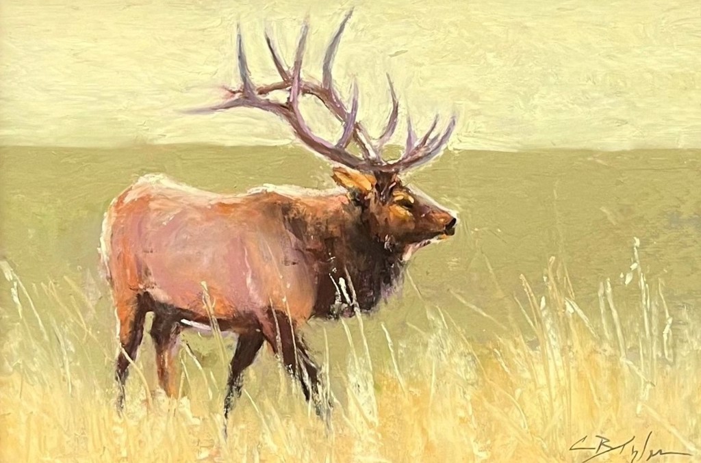 Elk Morning by Clive R. Tyler | InSight Gallery