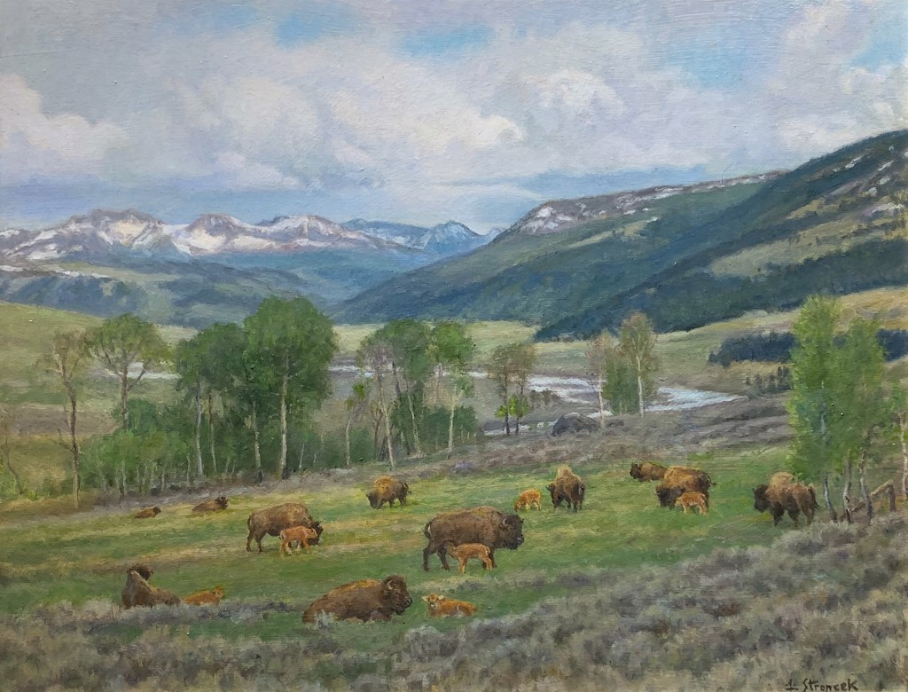 PEACE AND PLENTY, LAMAR VALLEY by Lee Stroncek