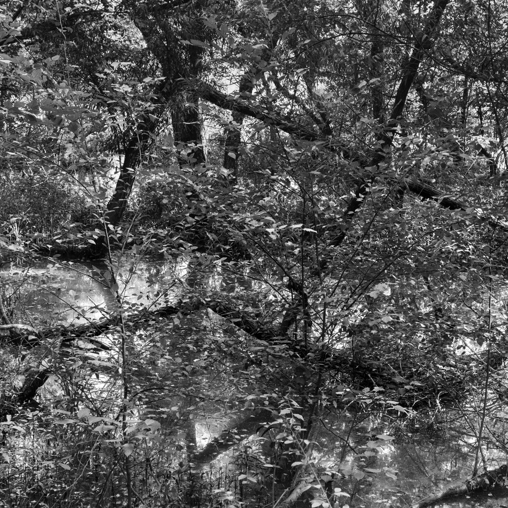 A Hidden Geometry by Richard Skoonberg