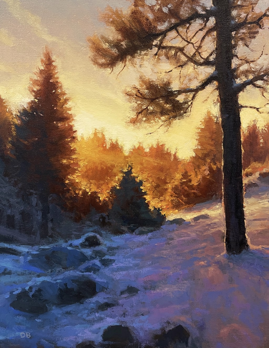 Winter Sunset by Daniel Bailey
