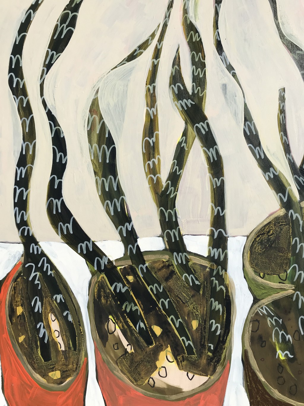 Potted Snake Plants on White Table by Rachael Van Dyke
