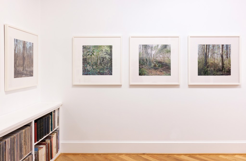 Mason Lines by Virginie Drujon-Kippelen