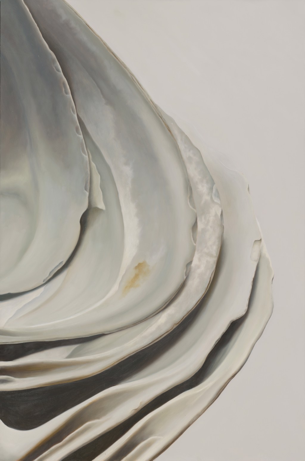 Nested Surf Clams. No. 6 by Sarah Verardo | Portland Art Gallery