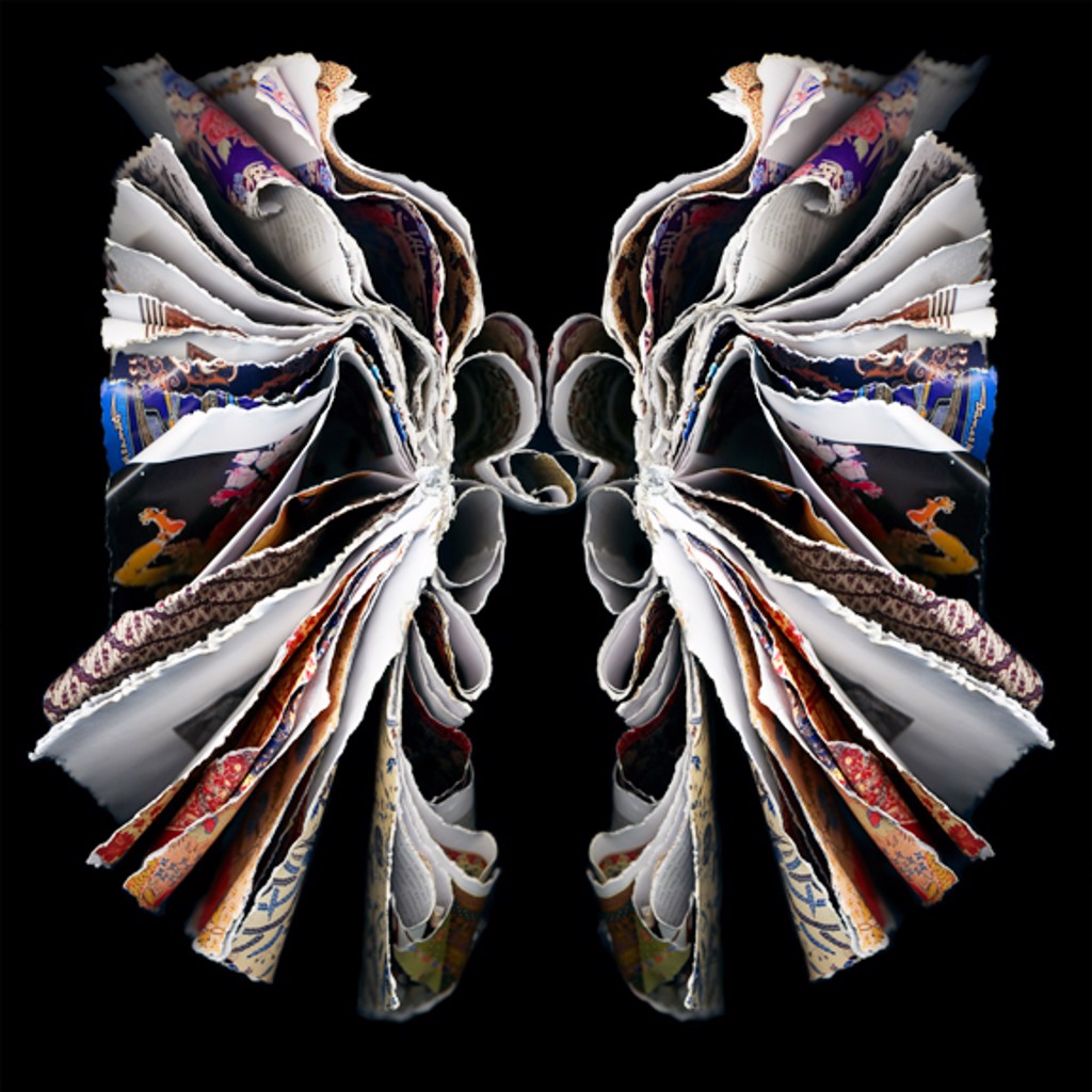 Moth by Cara Barer