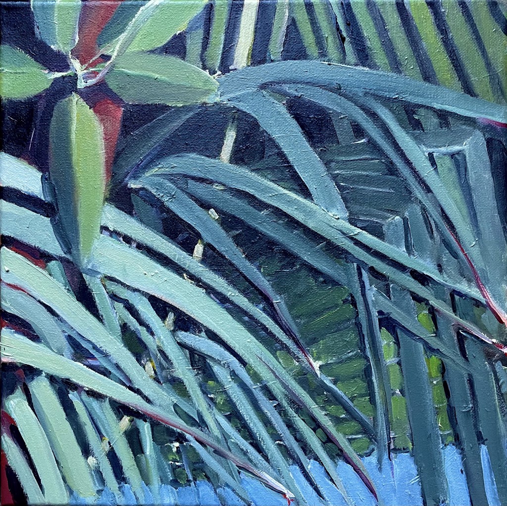 Island Palmettos by Maurizio Maso