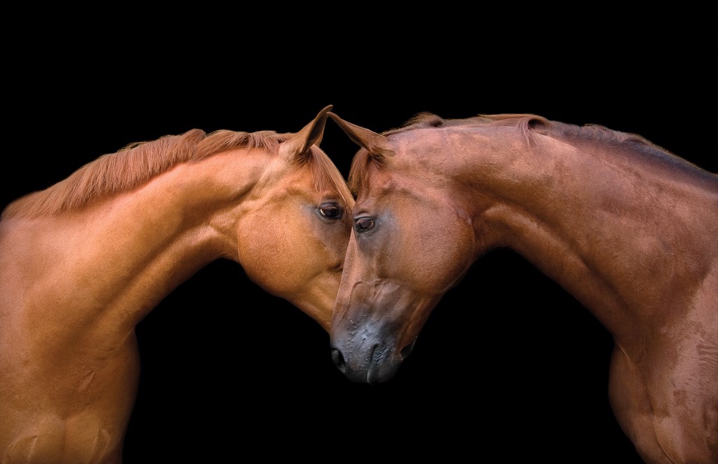 Lovers-Edition of 10/18 by Bob Tabor