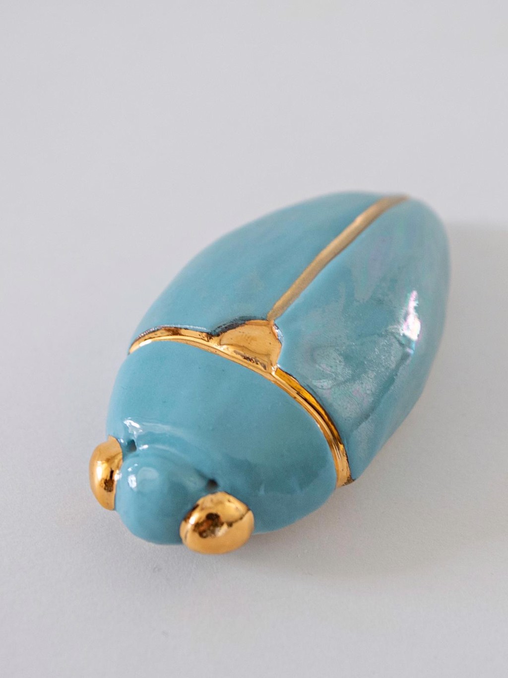 The Aqua Baby Beetle by Silviya Saikali