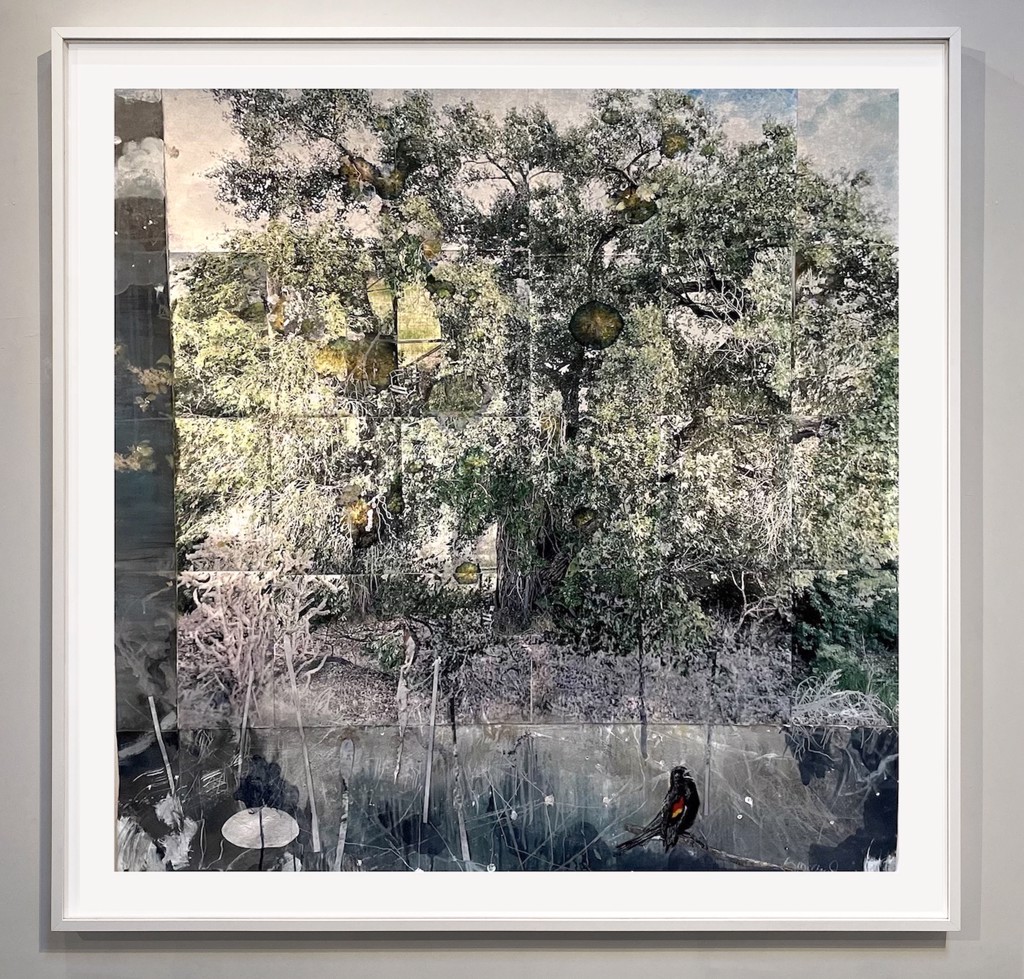 Water Never Sleeps by Kathleen McCloud