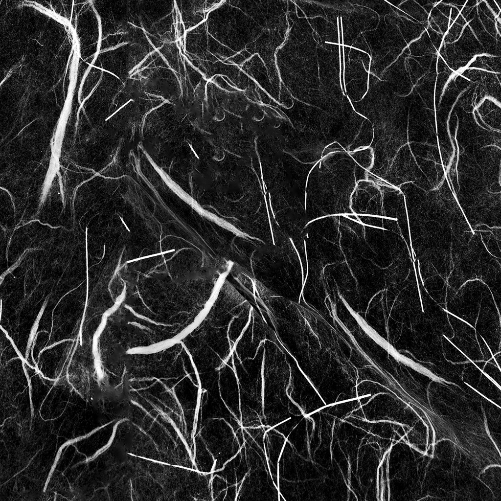 Undercurrents (4/17/22) by John Dean