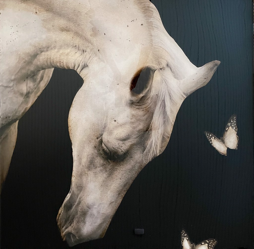 Give me Butterflies by Anke Schofield
