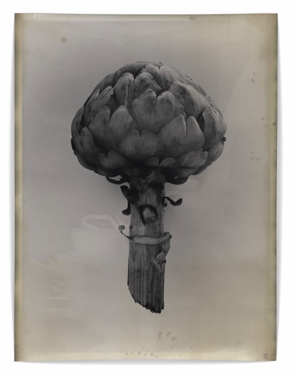 Jeff Cowen | WILLAS contemporary