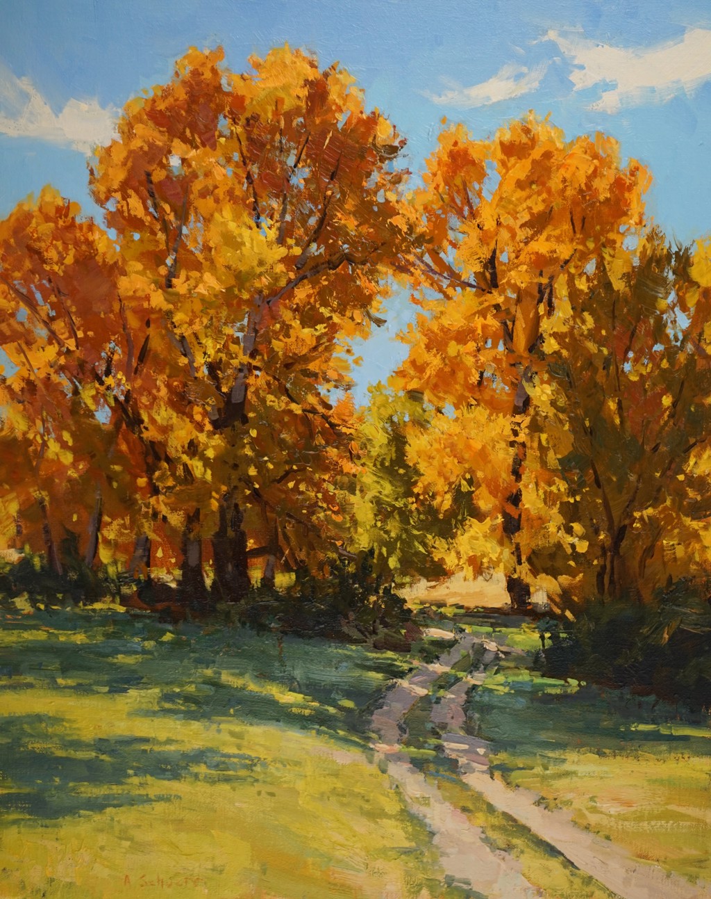 THE BACK WAY by Aaron Schuerr