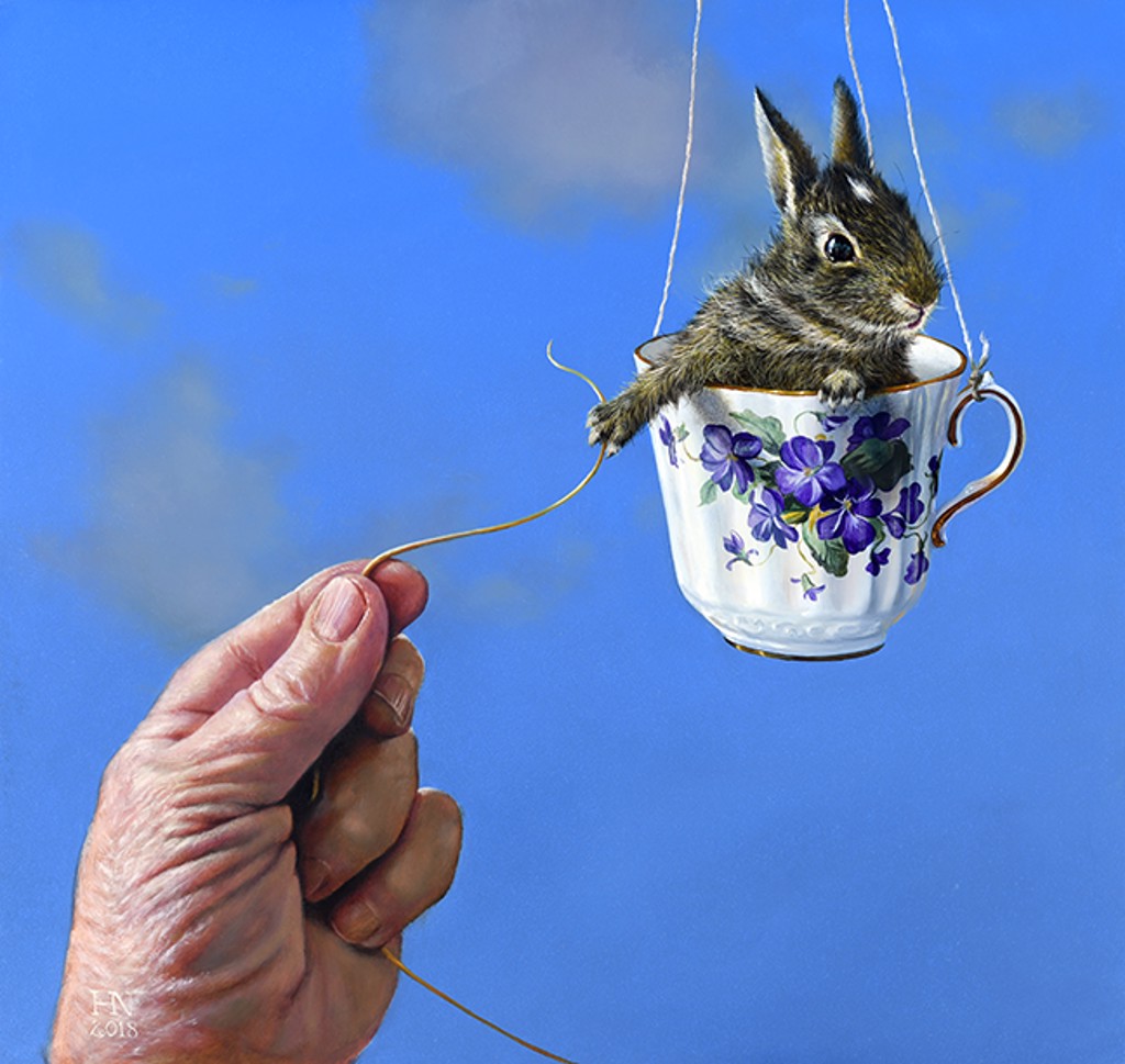The Flying Lesson by Heather Neill