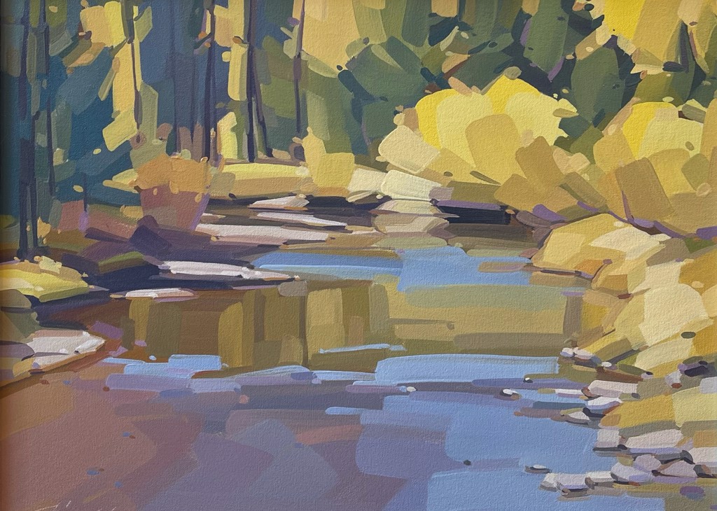 Larimer River Shallows by Mick Shimonek