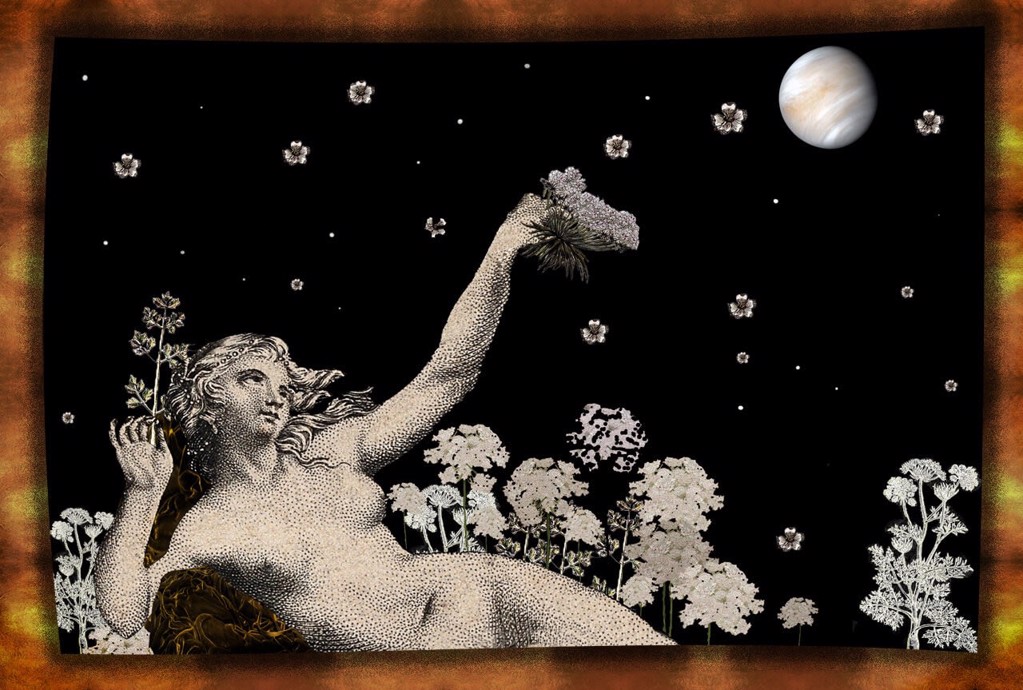 Venus with Queen Anne's Lace - Tremoliere by Leslie Sheryll