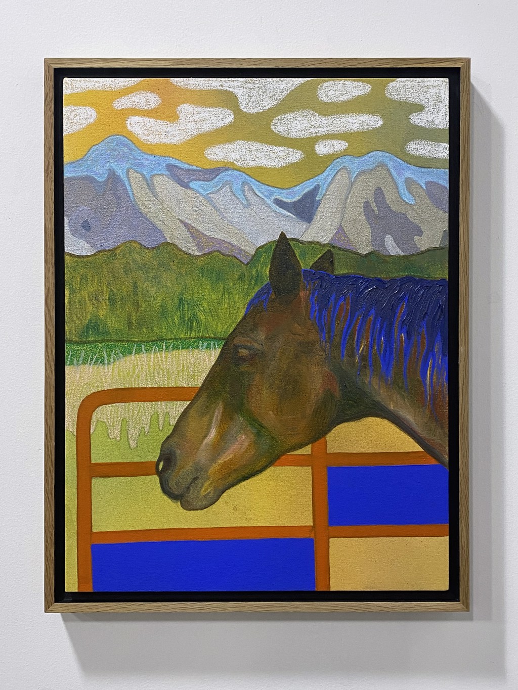 Over Fences by Tom Jean Webb