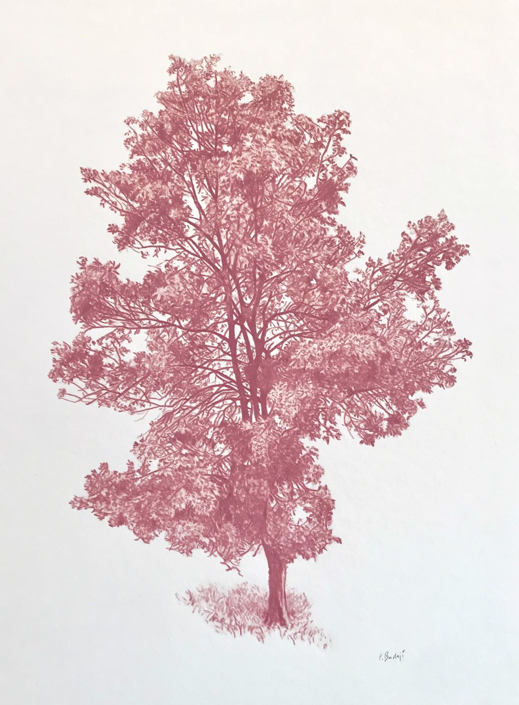 Árbol En Rosa Hibisco by Conchita Bardají