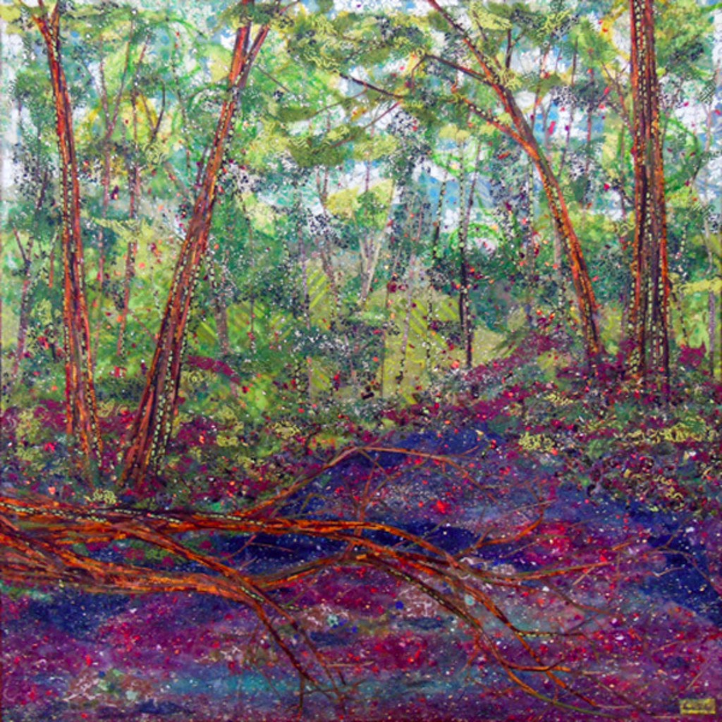 Little Santeetlah Creek by Laura Adams