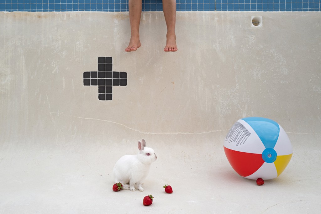 Still Life with Coconut by Jessica Cantlin