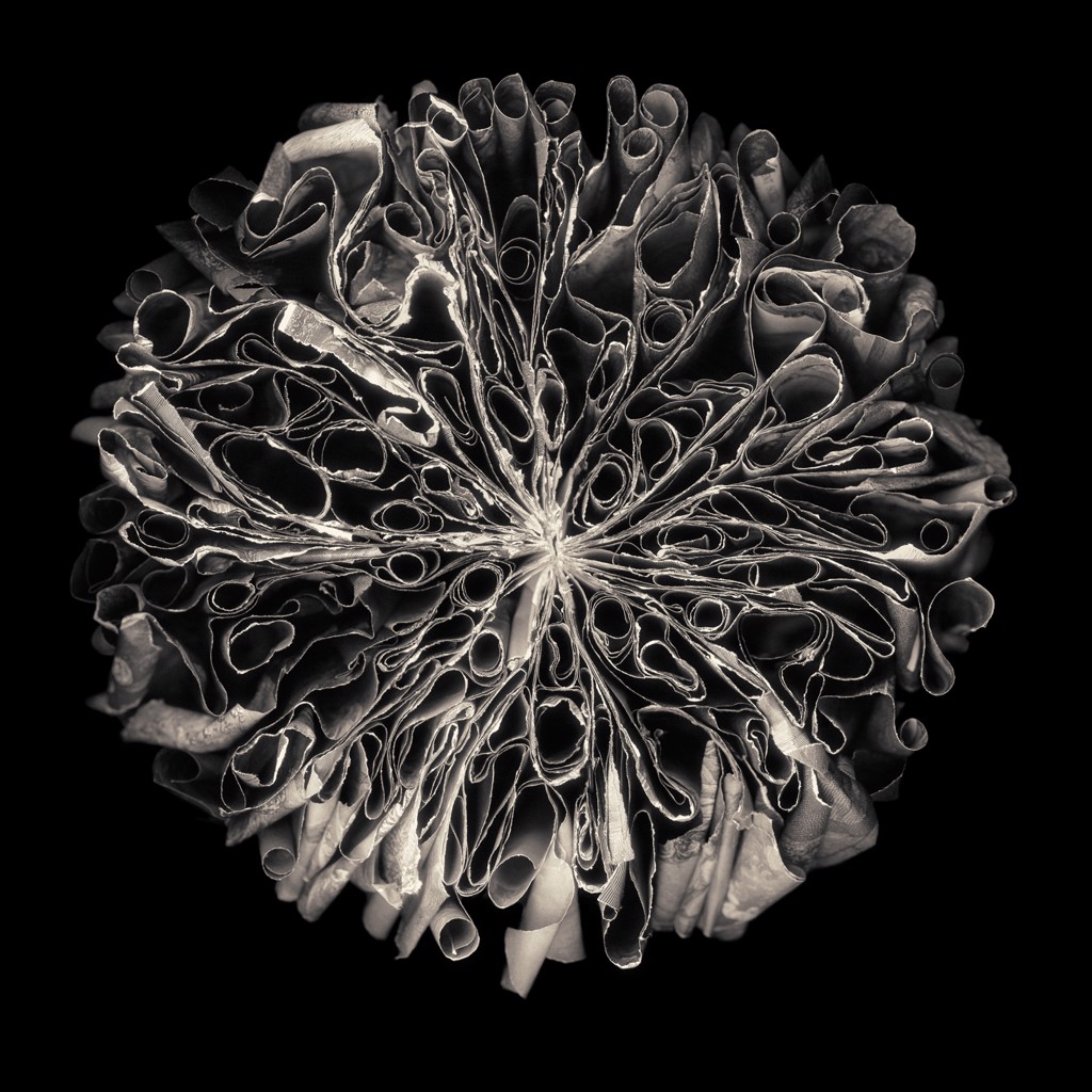 Engraved by Cara Barer
