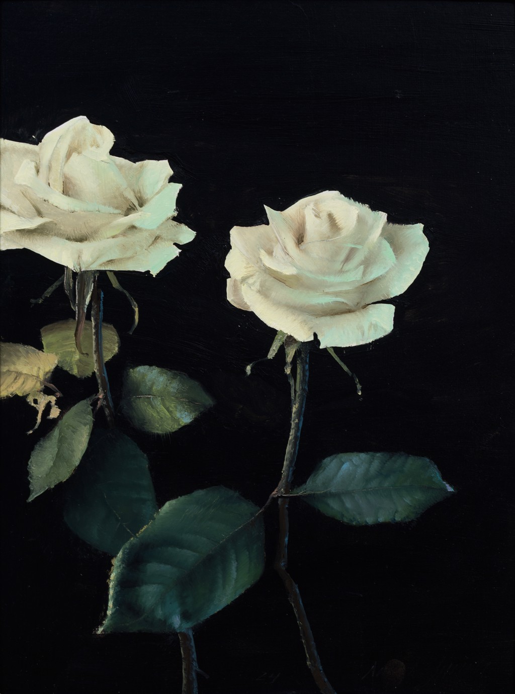 White Roses IV by Daniel Sprick | Gallery 1261