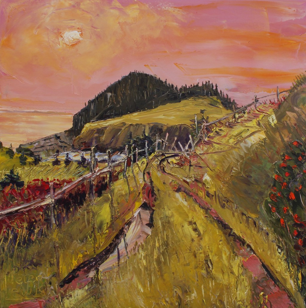 Fox Island, Tors Cove by PETER LEWIS